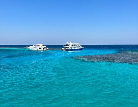 Elite VIP cruise